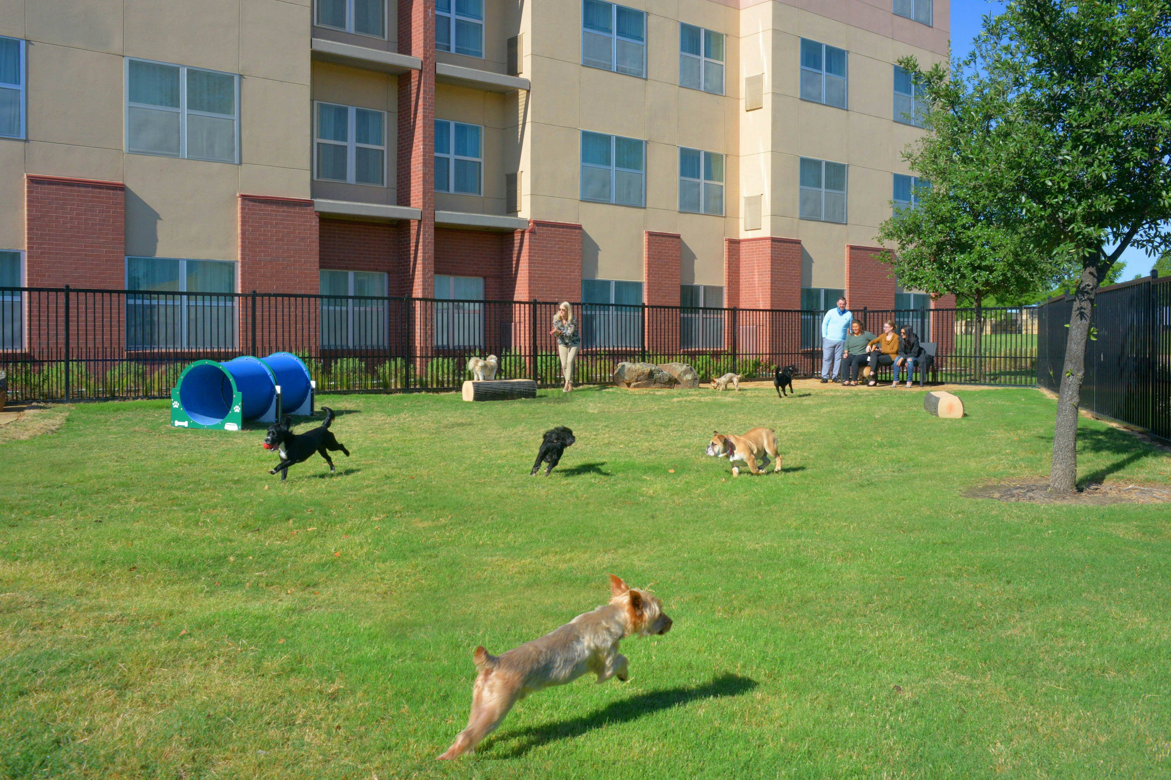 Residence Inn Dallas Plano the Colony 33/34