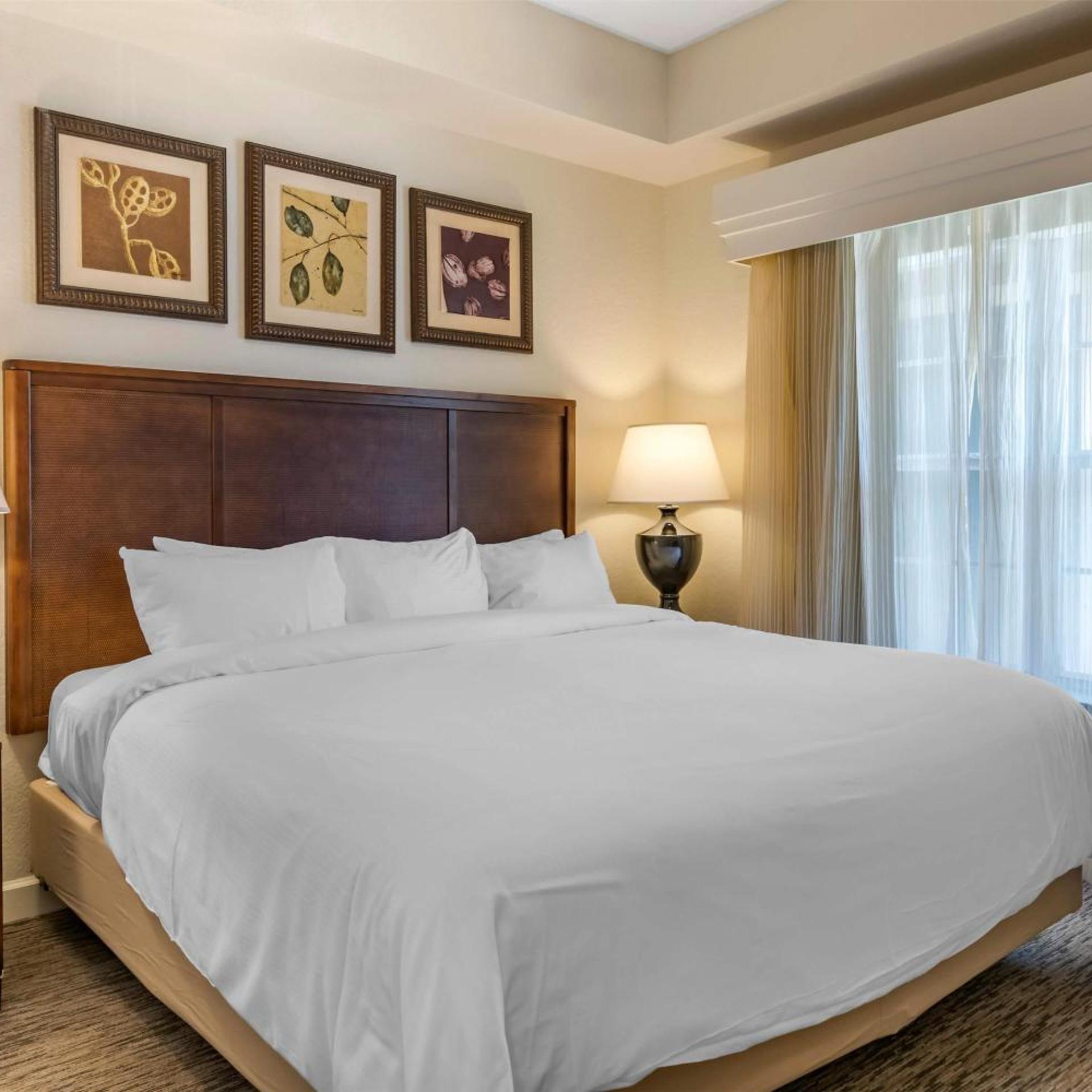 1 BEDROOM, PLUS, SUITE, KING BED, SOFA