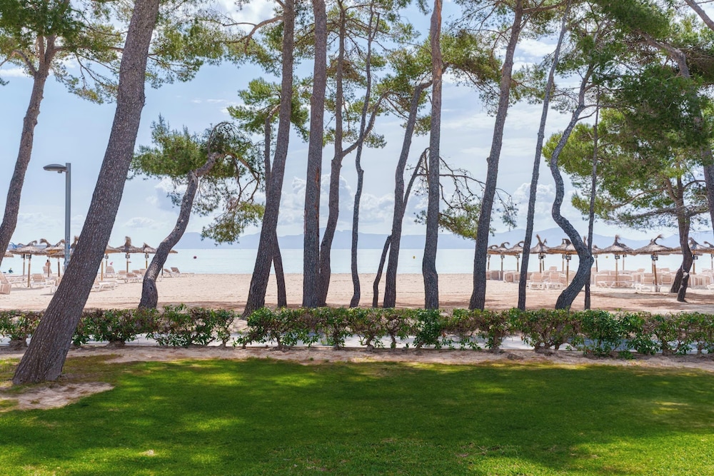 Ferrer Lime Playa de Alcudia 33/47