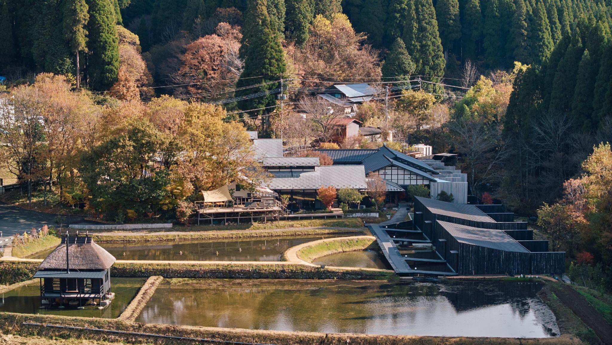 Ryokan Fujimoto 20/23