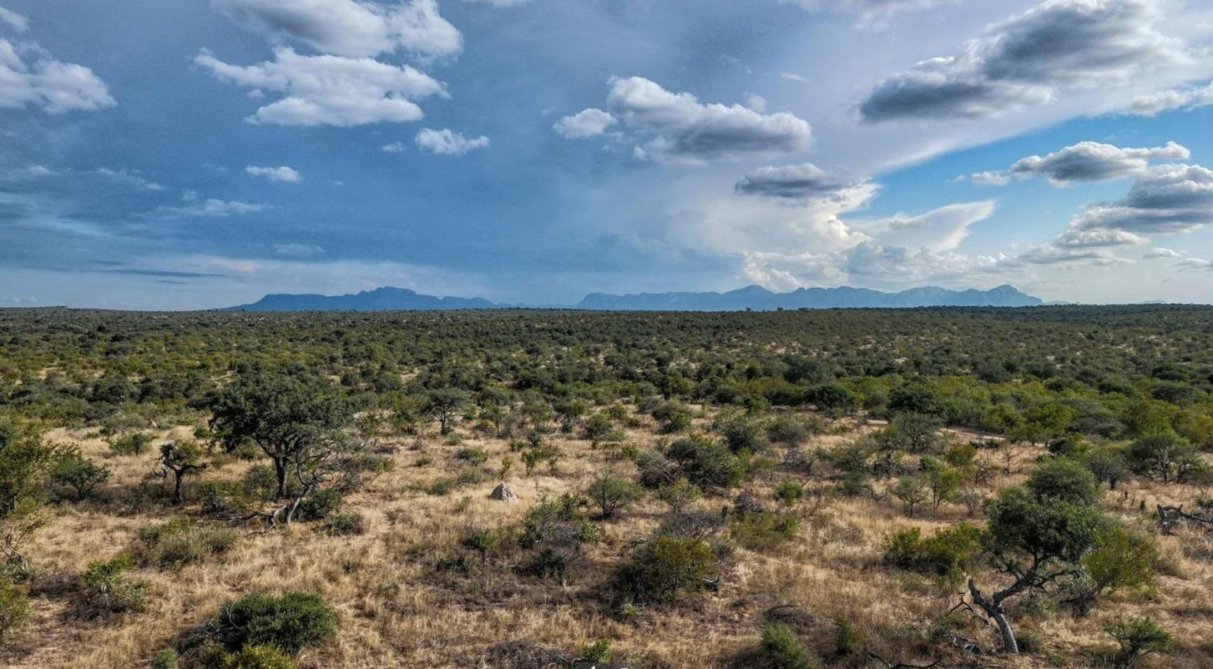 Imagine Africa Luxury Tented Camp 33/50