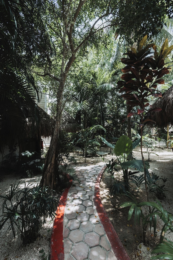 Casa Barbara 38/63