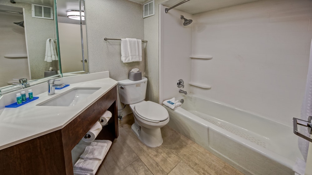 Holiday Inn Express Memphis Medical Center Midtown 23/61