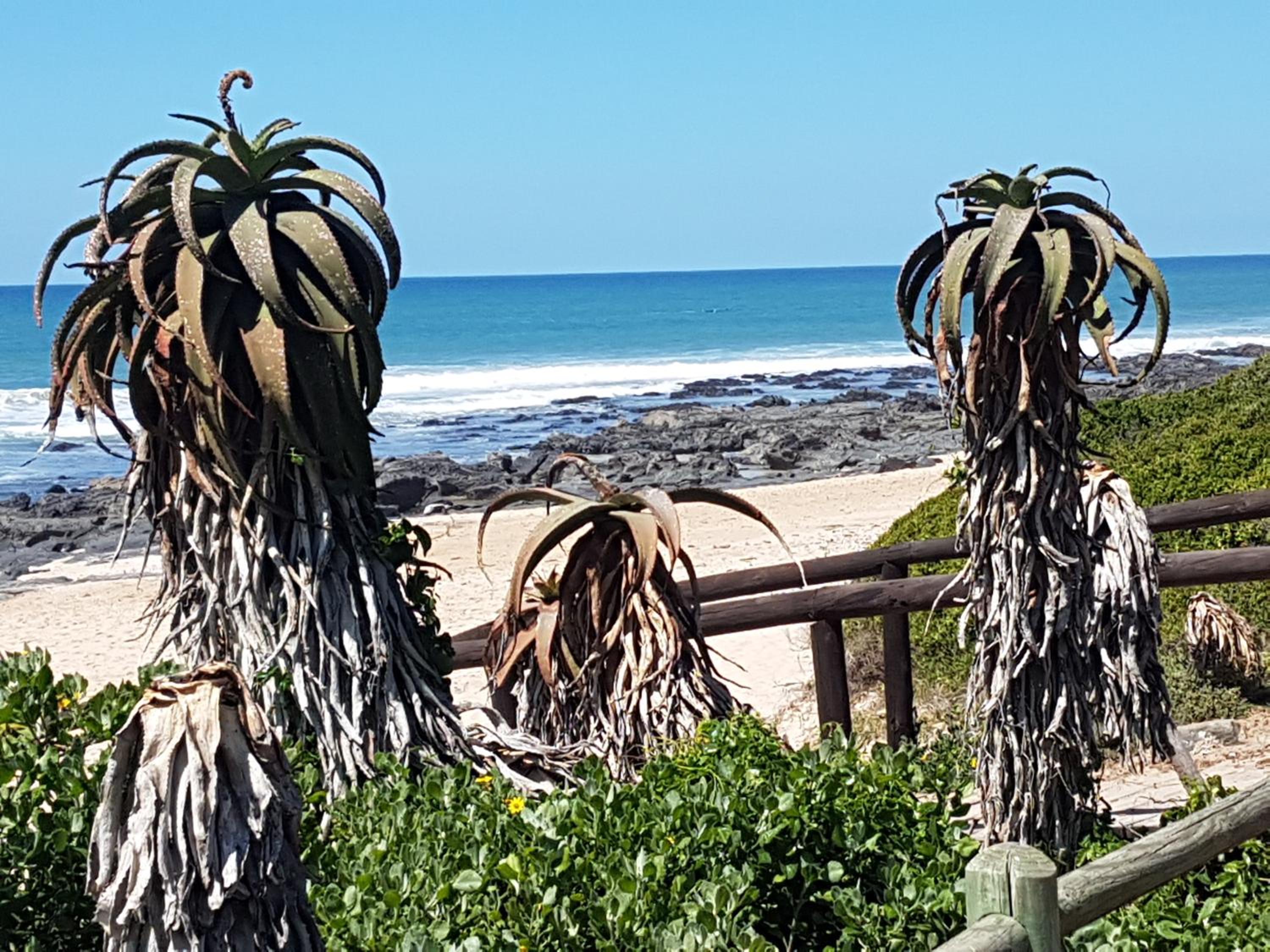 Surfpoint 9 15/18