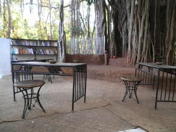 THE BANYAN SOUL 31/50