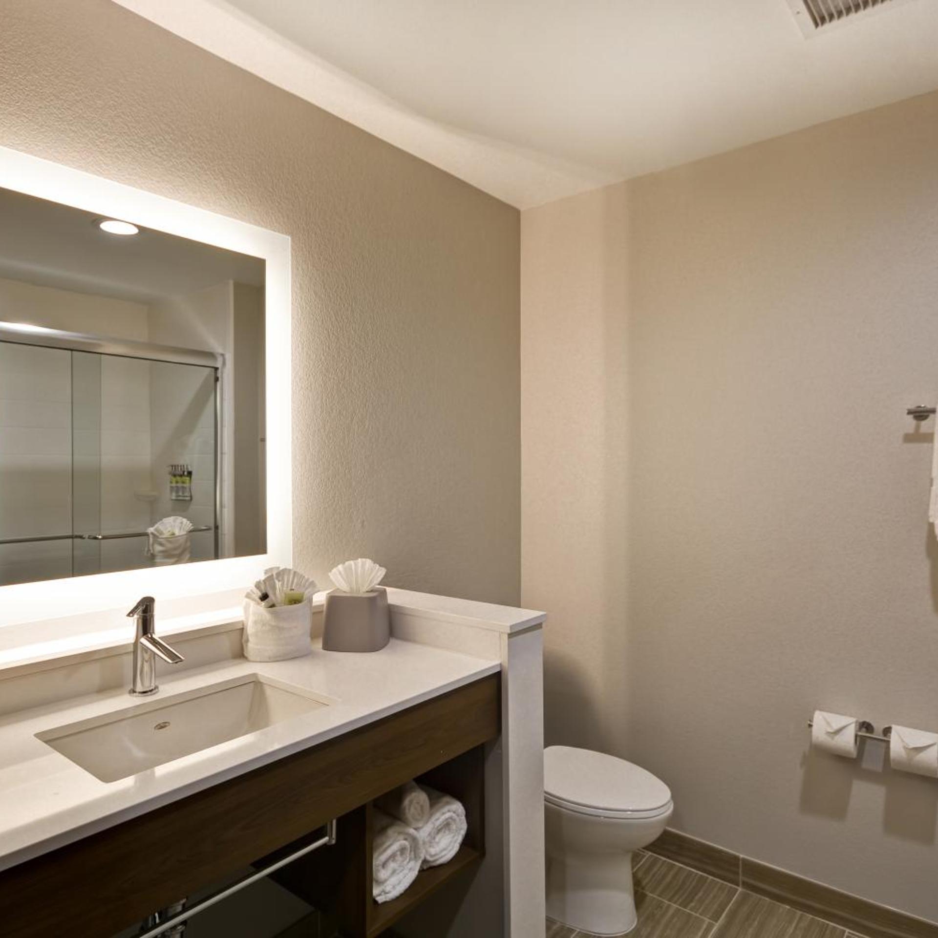 جناح بغرفة نوم واحدة لذوي الإعاقة، Holiday Inn Express & Suites Houston NASA - Boardwalk Area 4/8