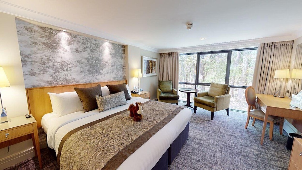 Rhinefield House Hotel 16/71