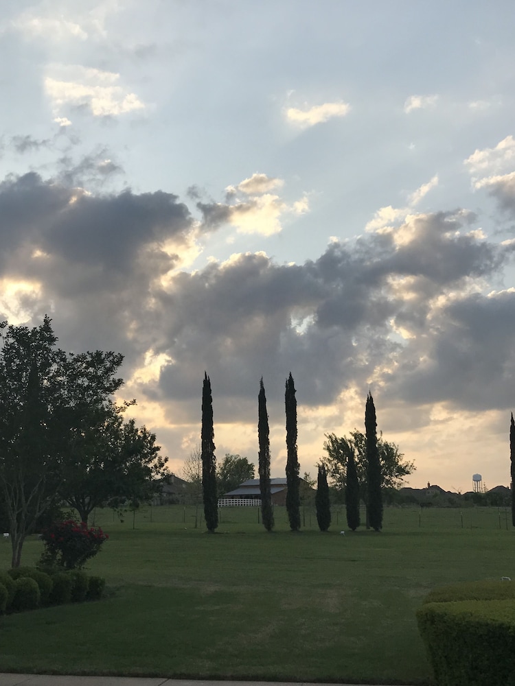 The Plantation House Boutique Inn 33/50