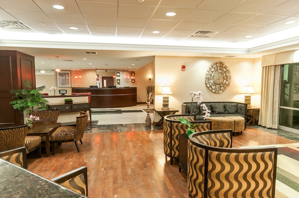 Spark by Hilton Exton 27/38