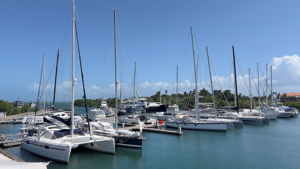 Marina Hotel at Shelter Bay 38/50