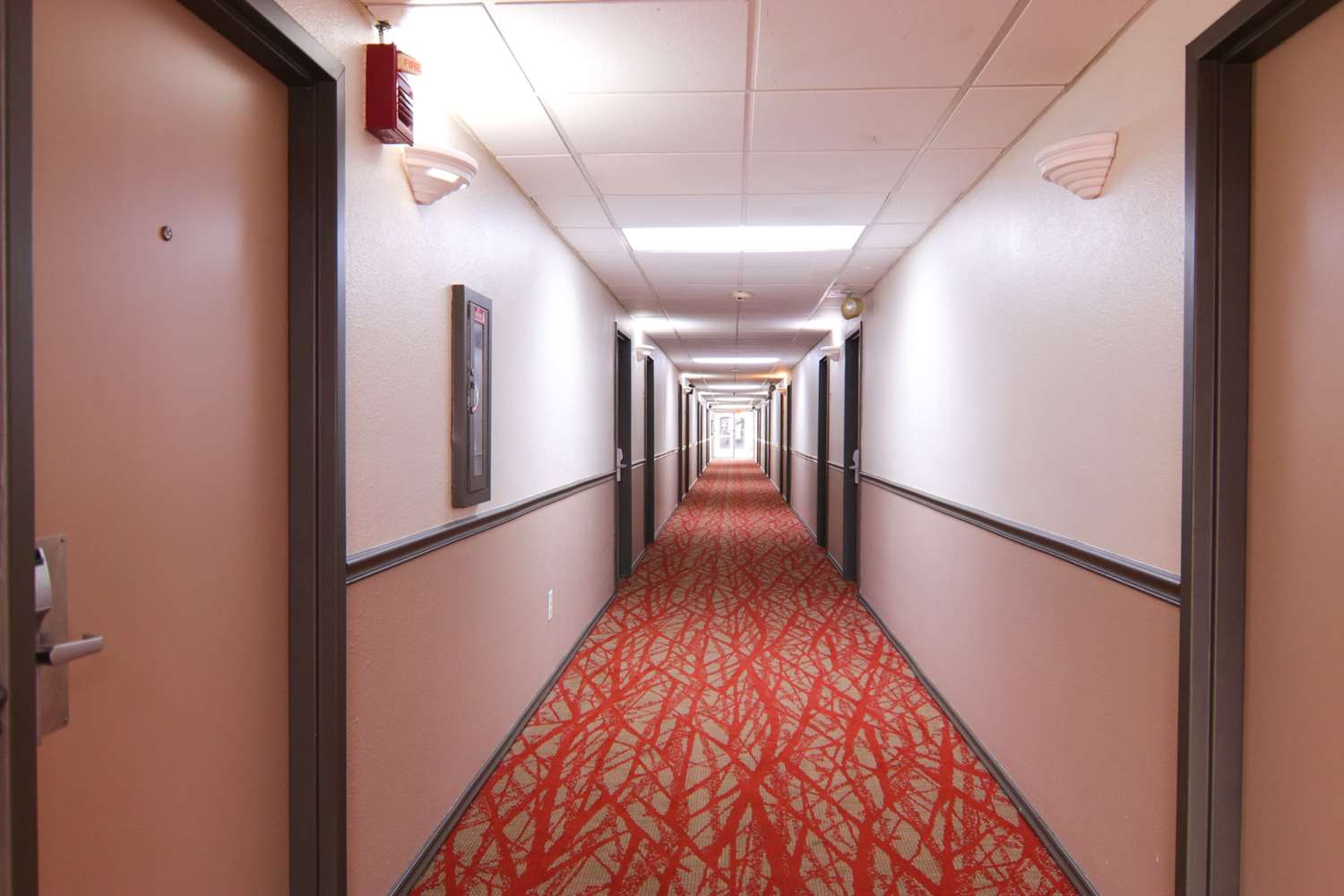 Ramada By Wyndham Davenport Orlando South 21/51