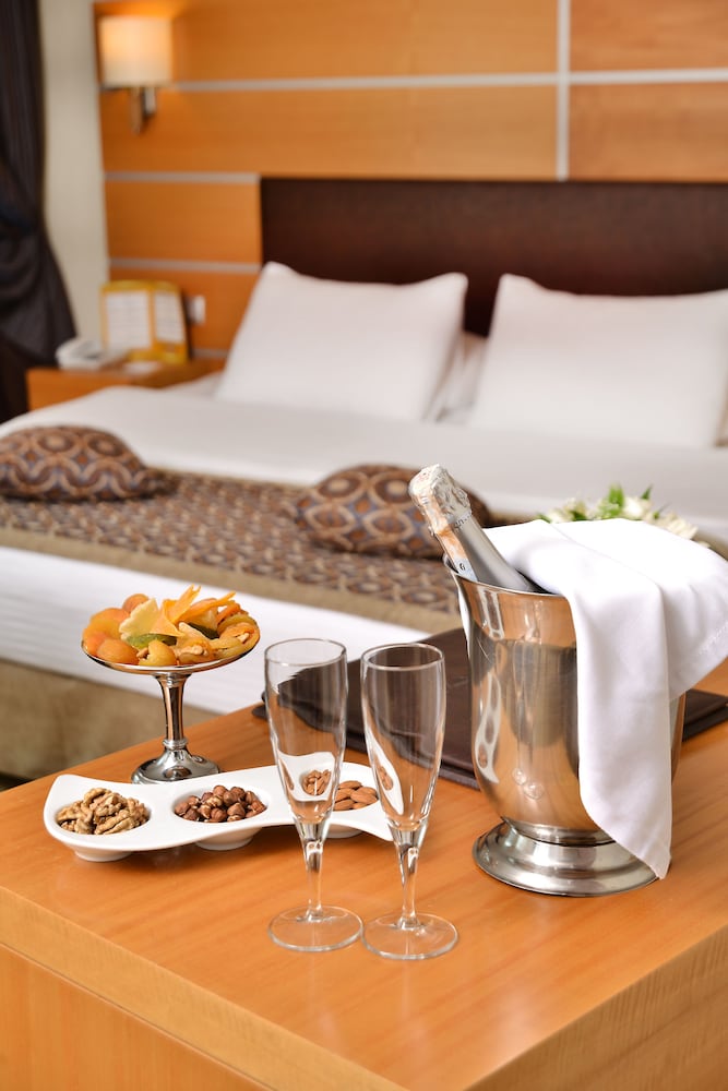 Ankara Plaza Hotel 60/66