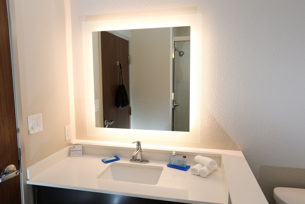 Holiday Inn Express Suites Forney 21/55