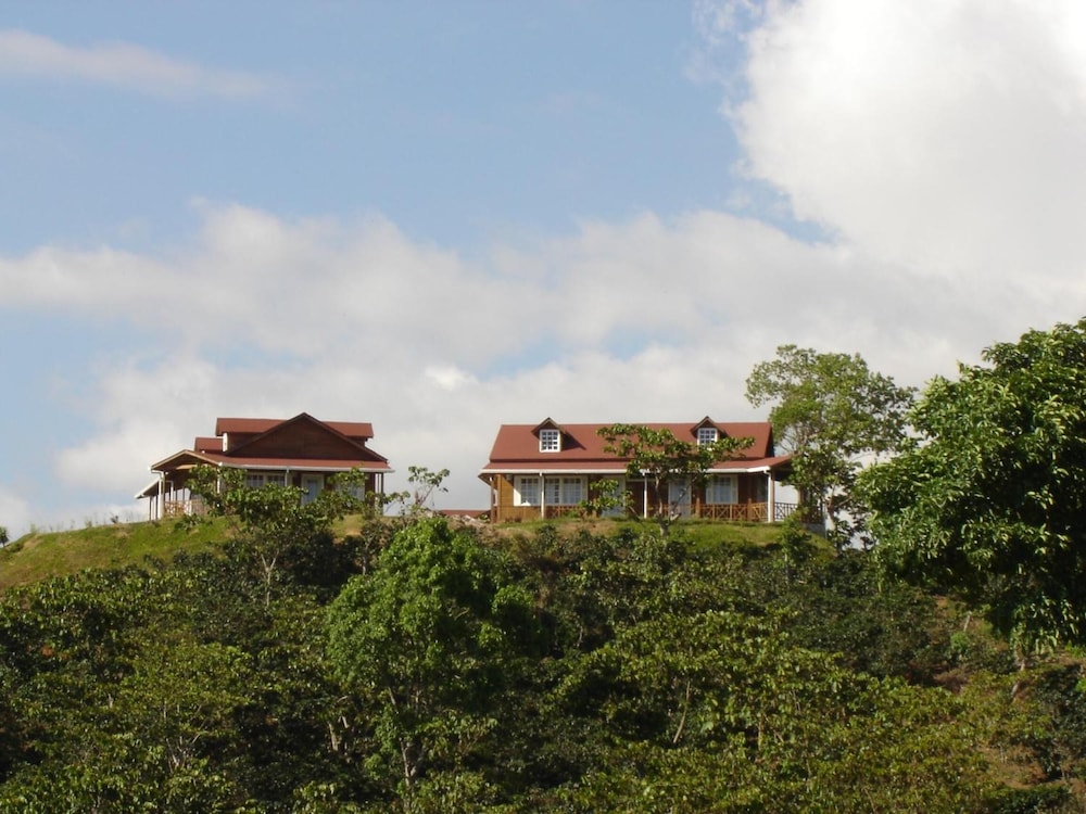 Finca Hamburgo 58/64