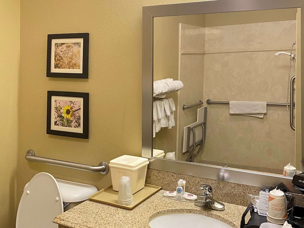 Comfort Inn & Suites Monahans I-20 14/40