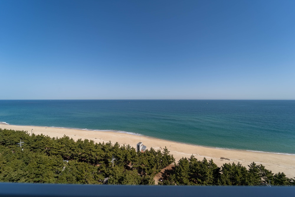 Gangneung PineArt Label 27/30
