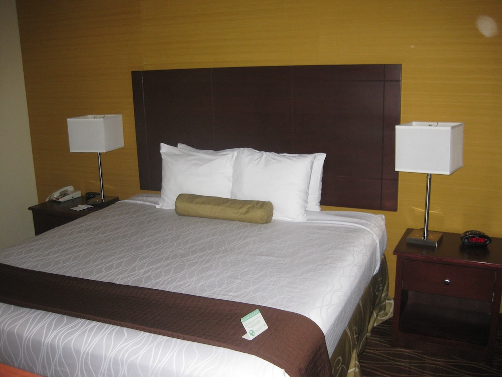 Best Western Plus Springfield Airport Inn 11/39