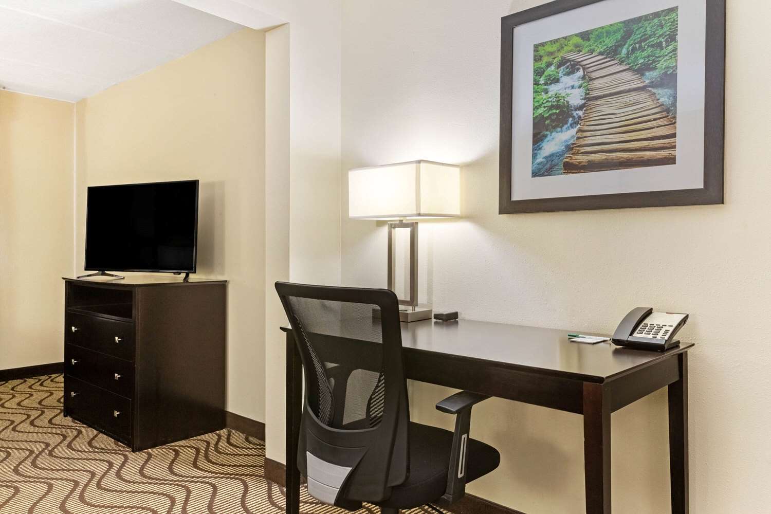 Comfort Inn & Suites Tampa North I-75 16/18