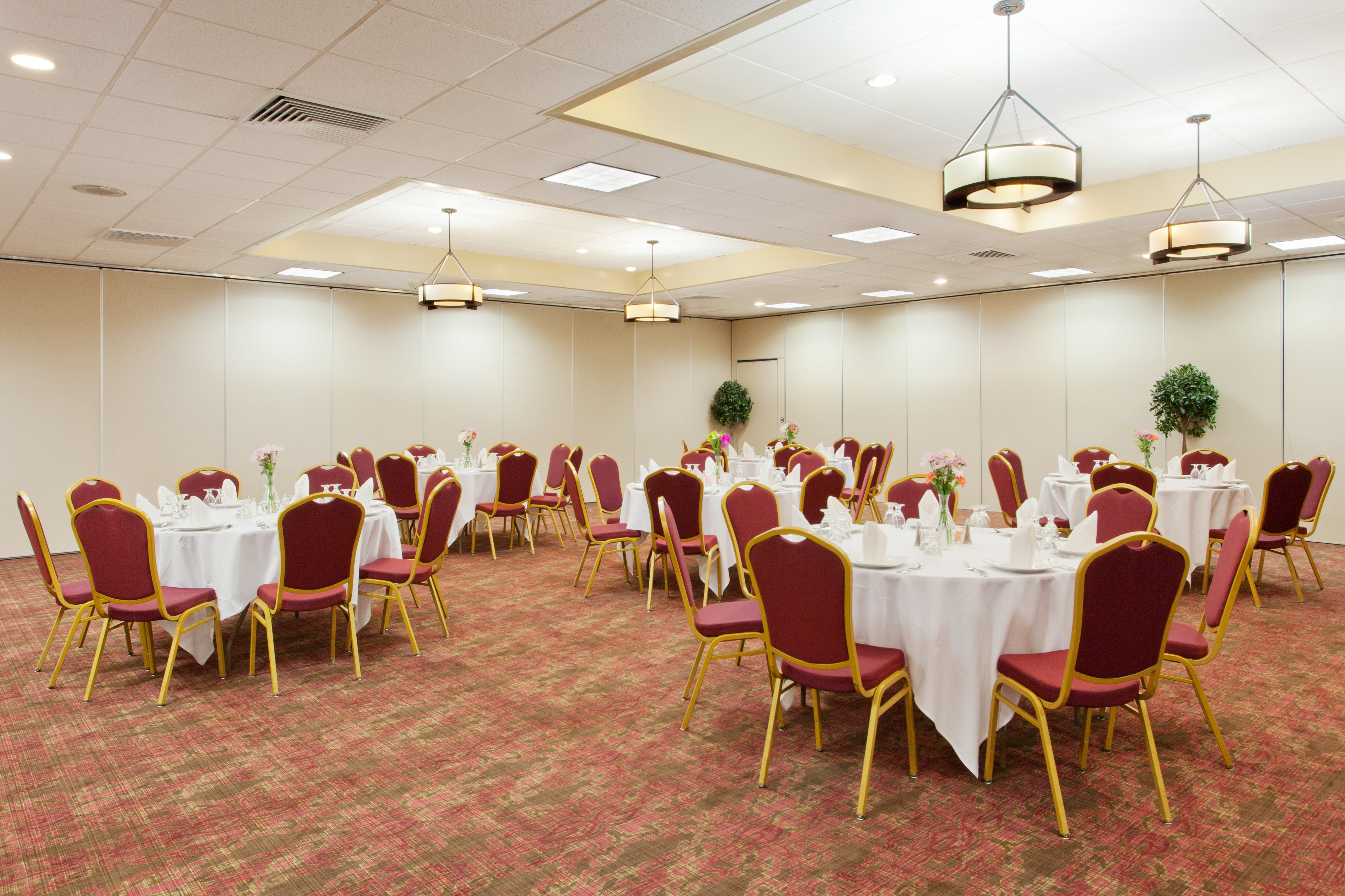 Holiday Inn Shreveport Downtown, an IHG Hotel 12/17