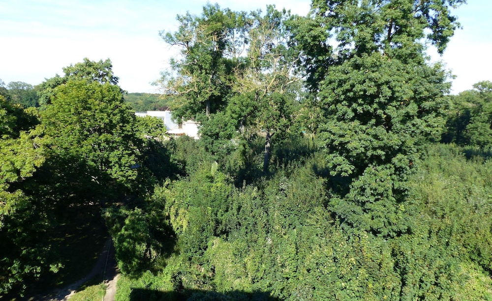surroundings