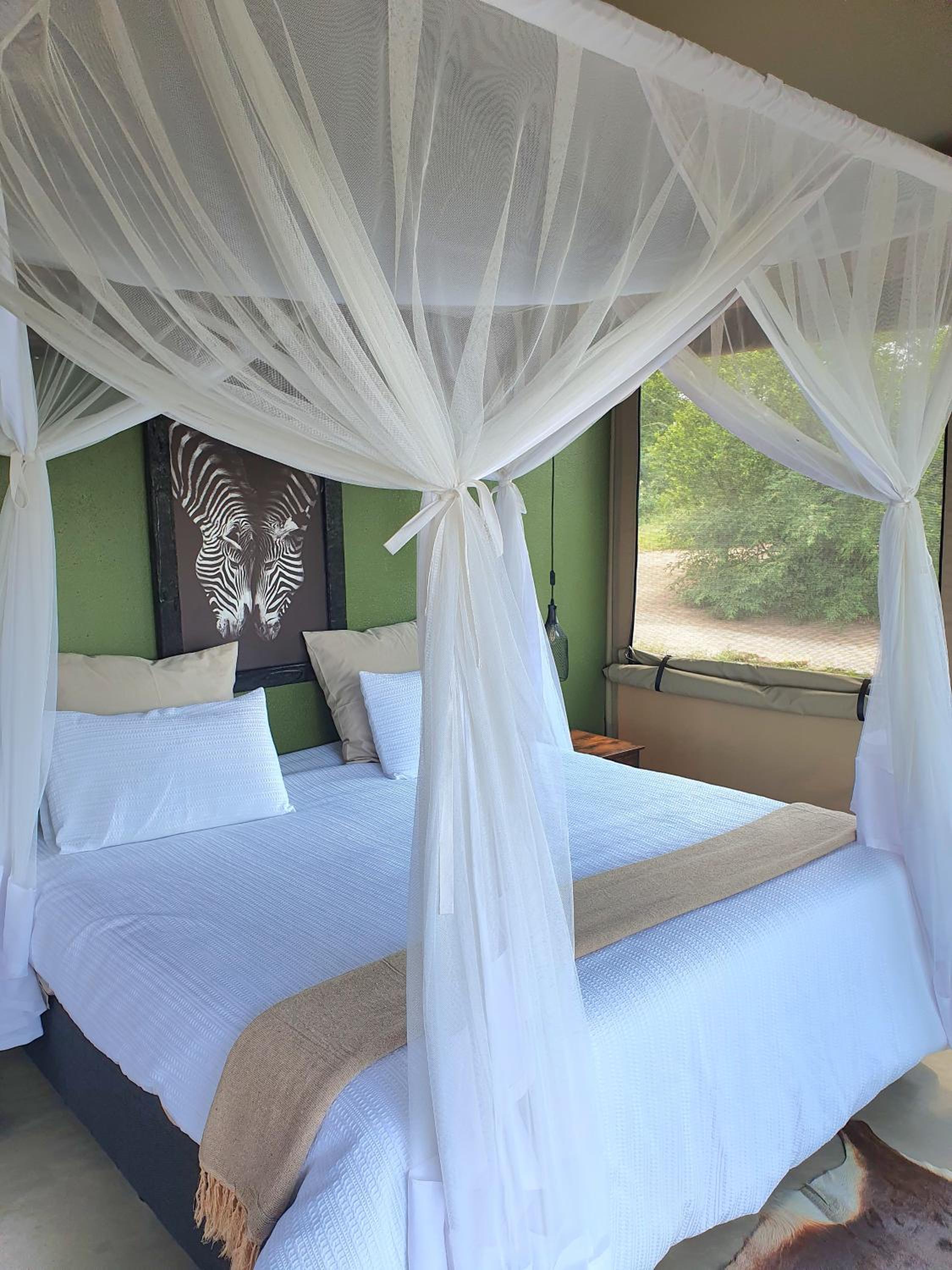 Masorini Bush Lodge 5/50