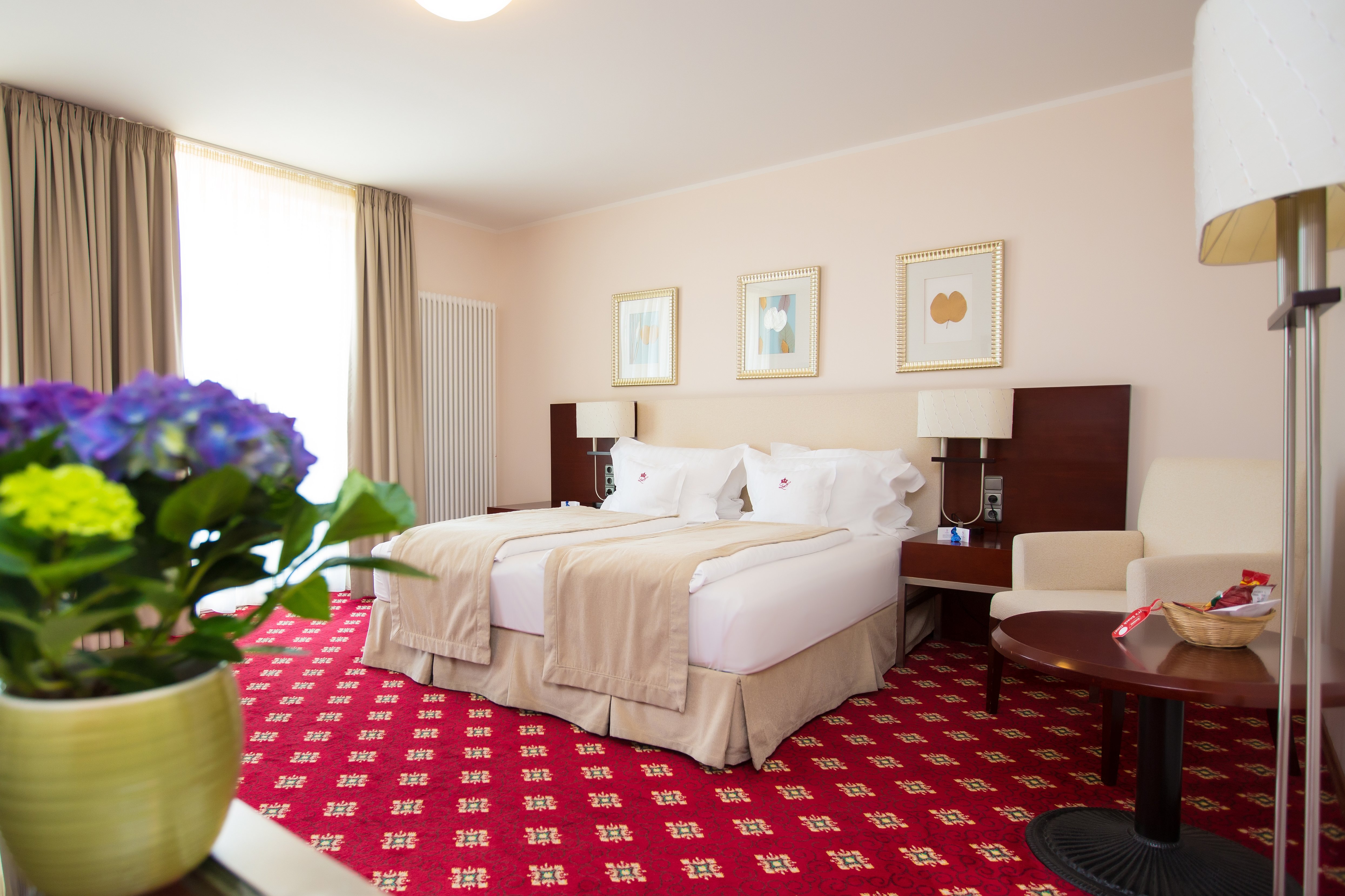 Hotel Konig Ludwig Ii 6/13