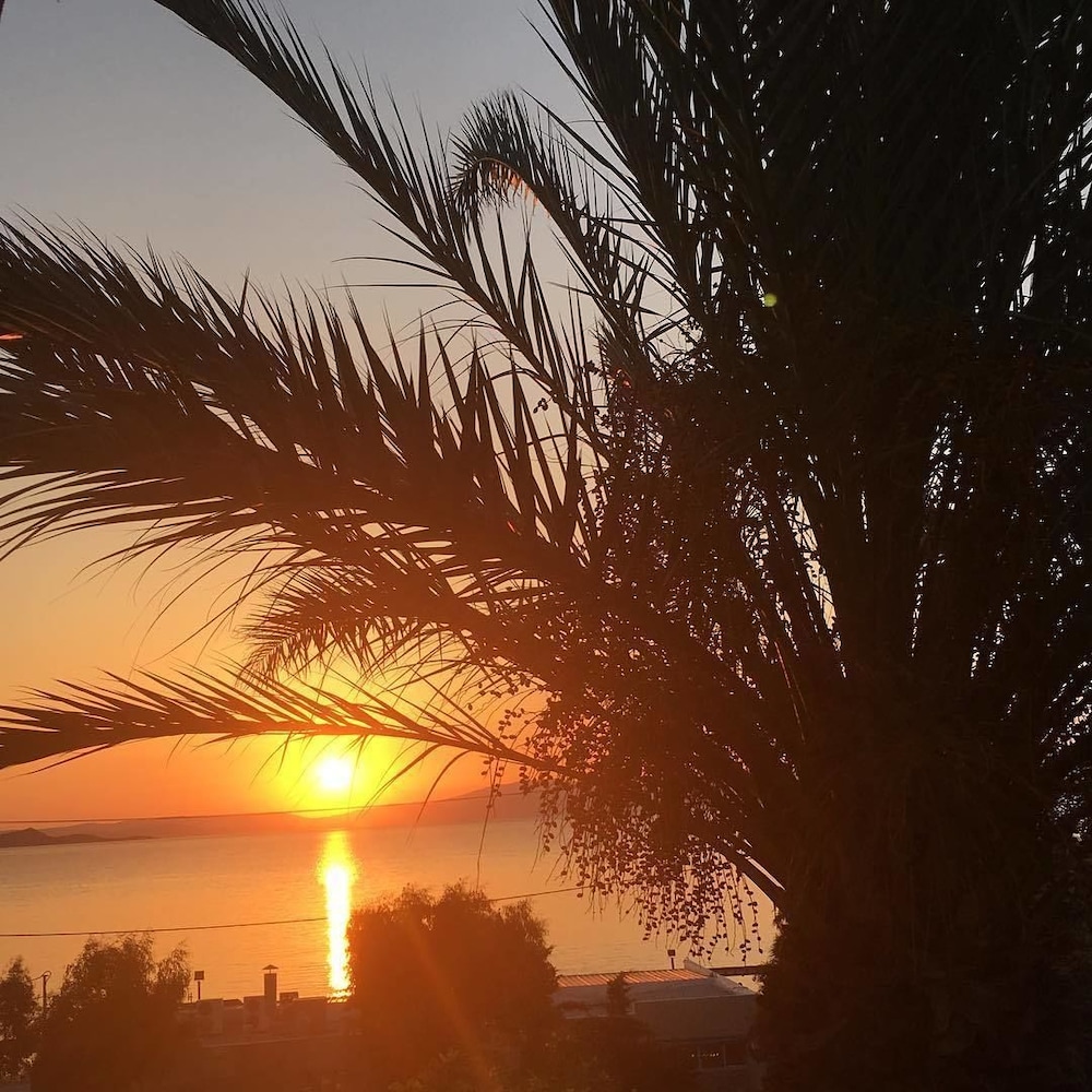 Marathon Beach Resort 65/72
