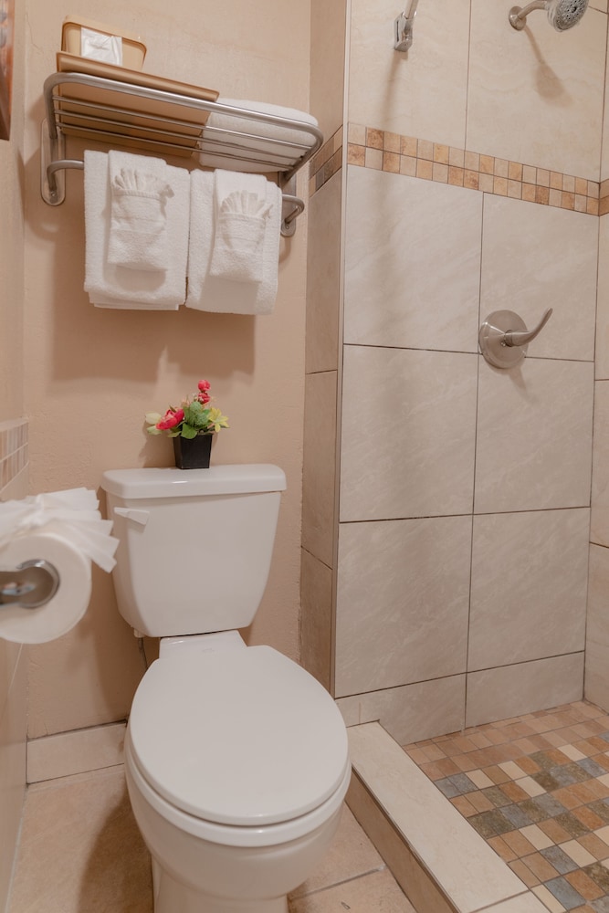Quality Inn Suites Near the Border 64/67
