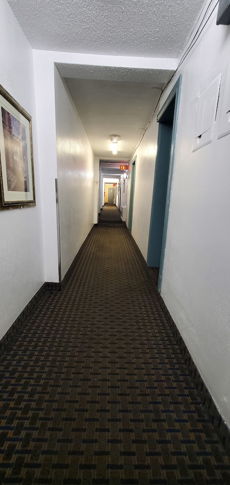Belmont inn 33/36