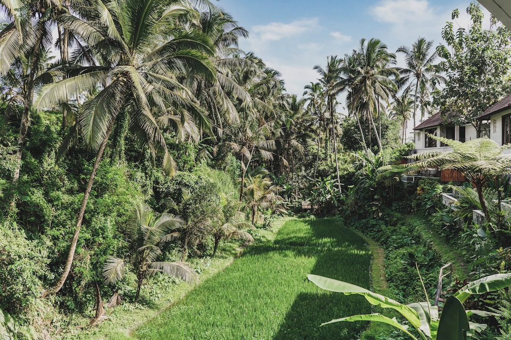 Dedary Resort Ubud by Ini Vie Hospitality 43/47
