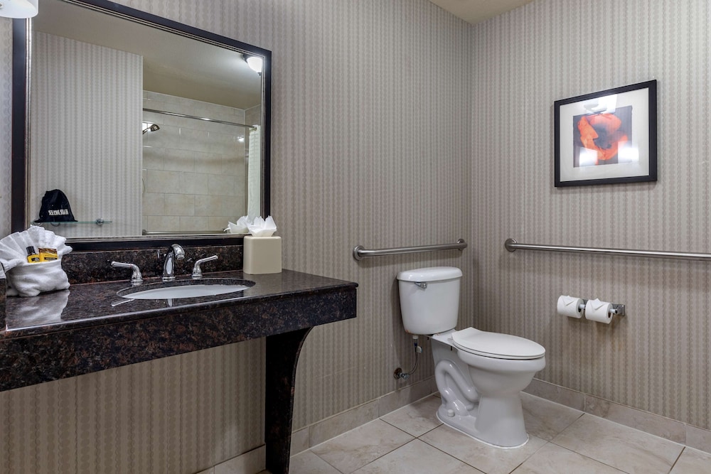 Best Western Plus Dfw Airport West Euless 14/41