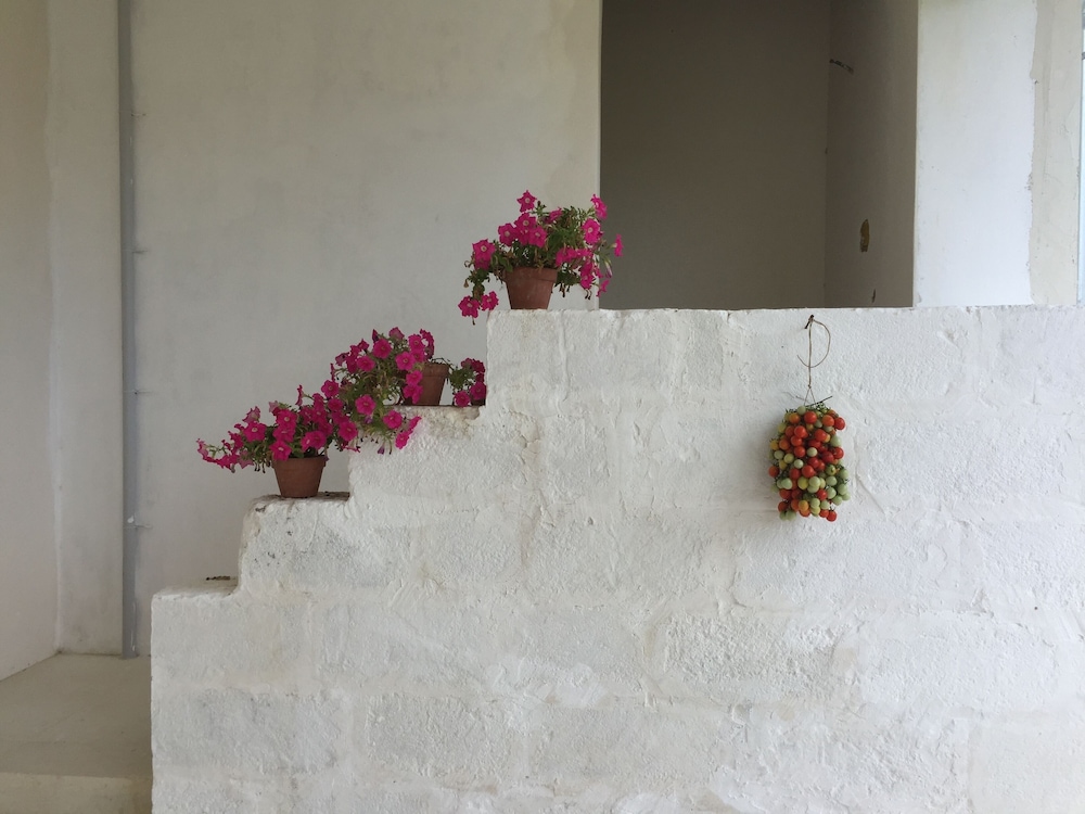 Masseria Rauccio 8/50