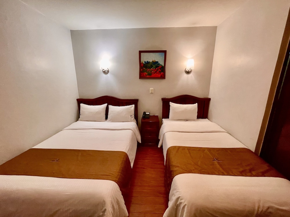 Hotel Puebla Plaza 18/50