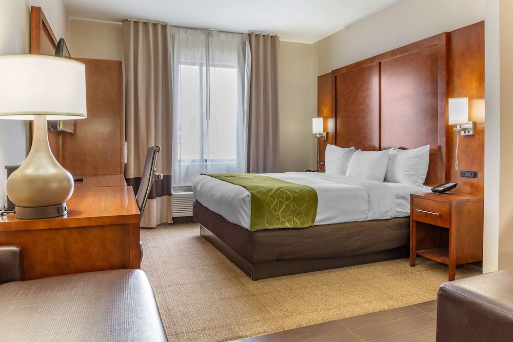 Comfort Suites Dover University Area 8/36