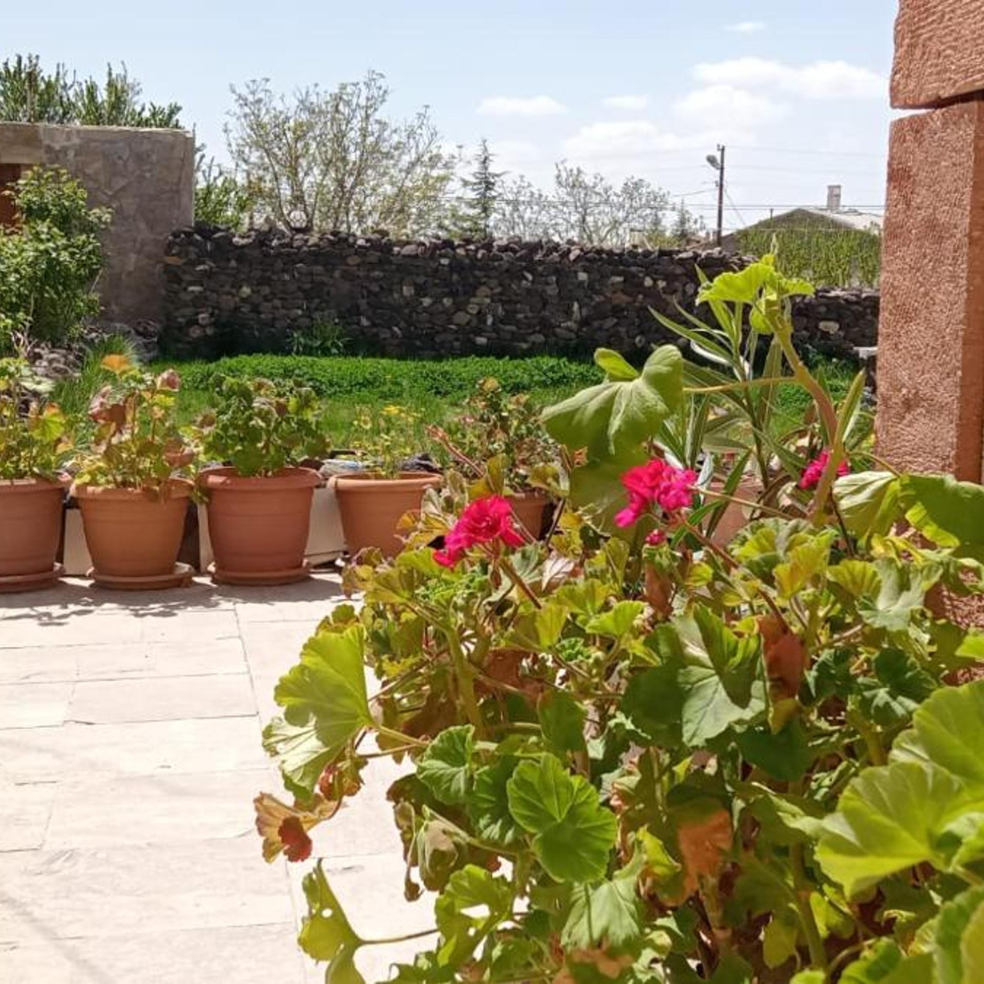 Ulas Cave Hotel 40/49