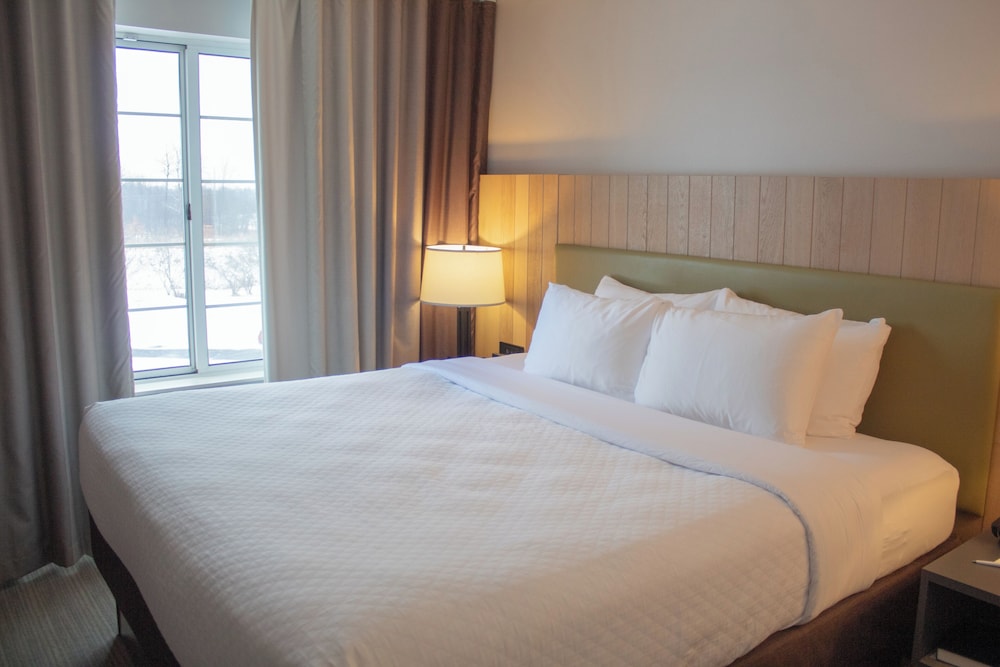 Suite, King Bed, Accessible