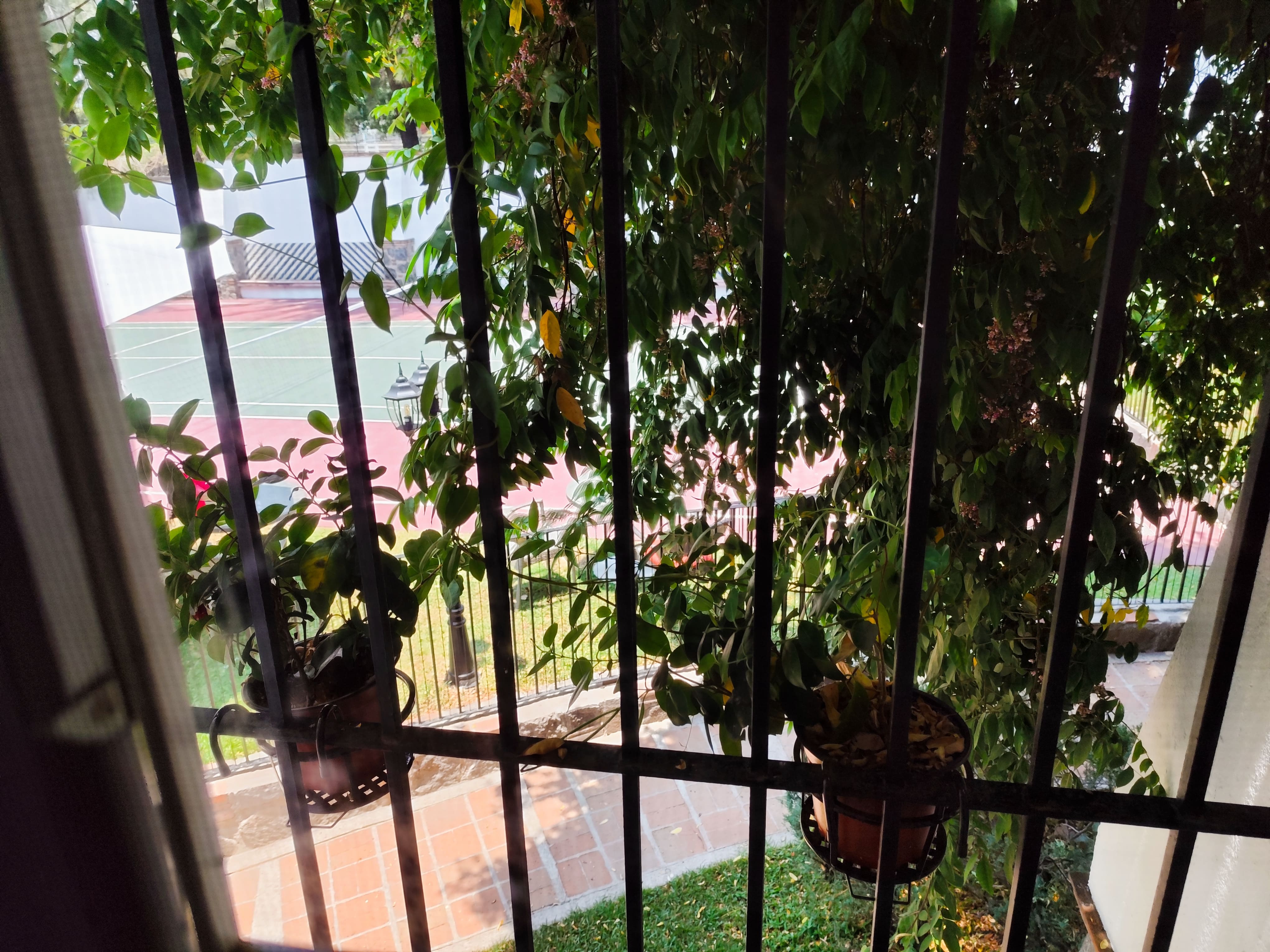 Casa de las Conchas Cuernavaca 43/52