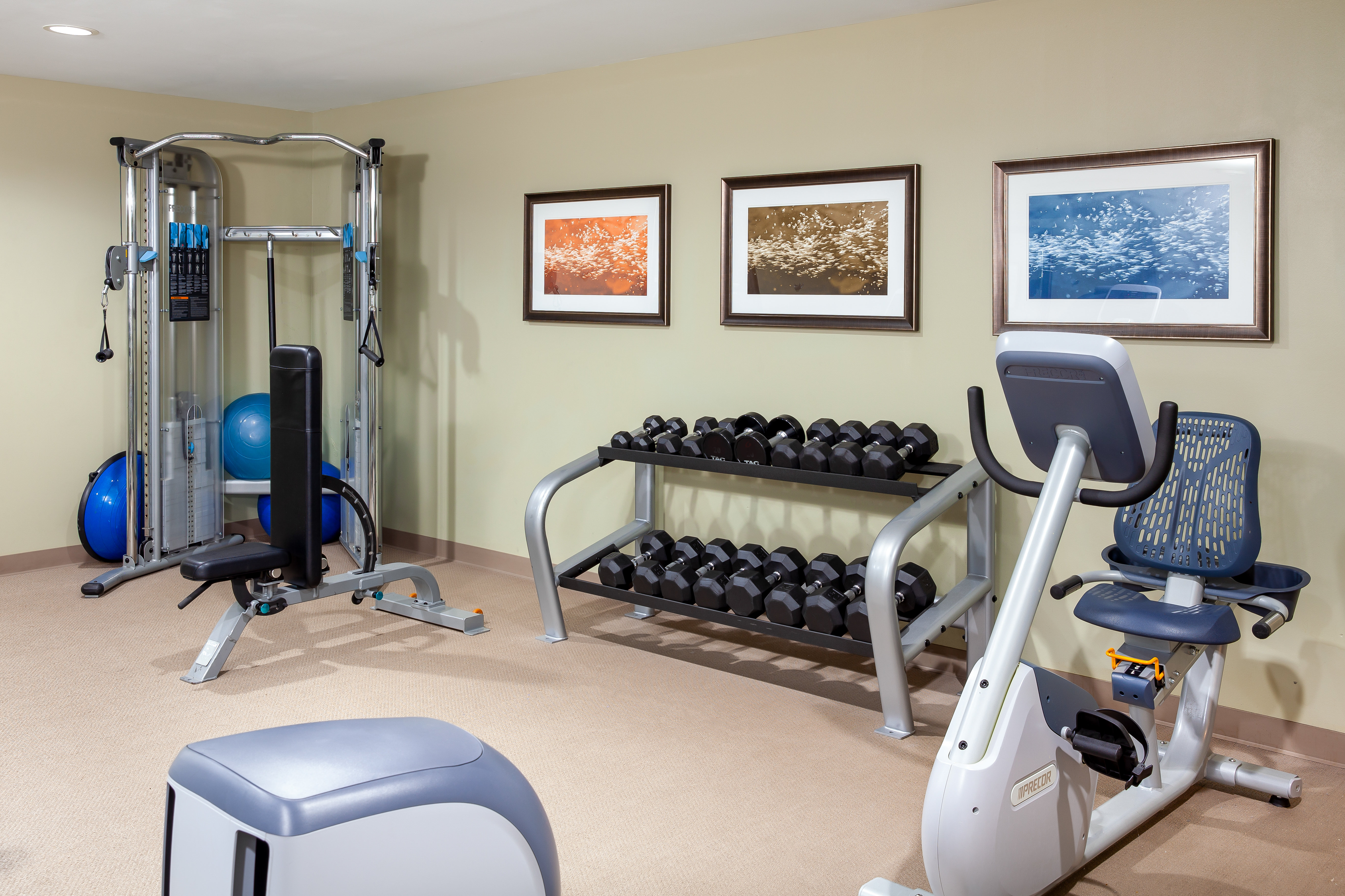 Staybridge Suites DENVER-STAPLETON 43/81