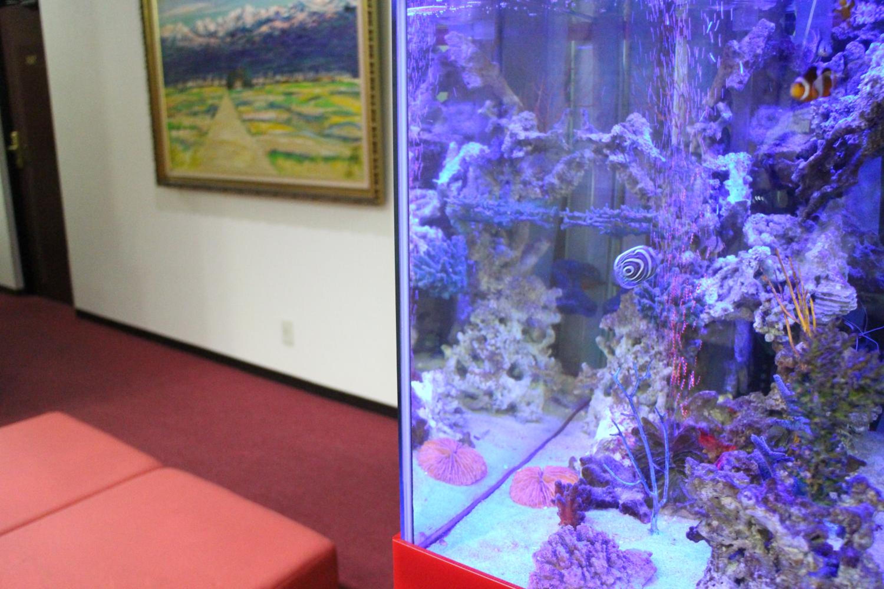 Business Hotel Raicho 25/50