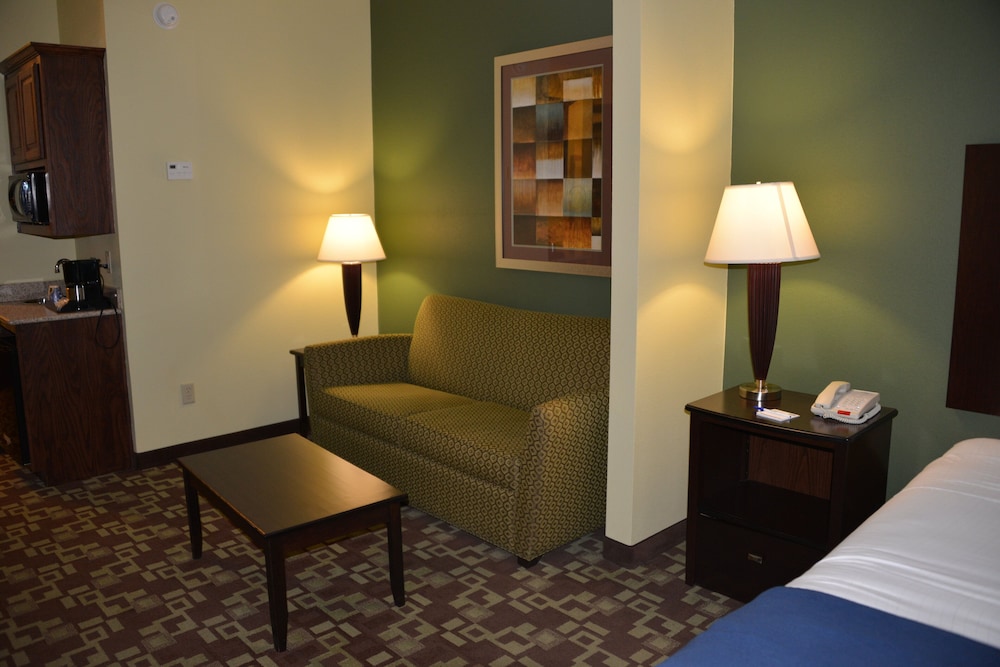 Holiday Inn Express Hotel Suites Dumas 44/72