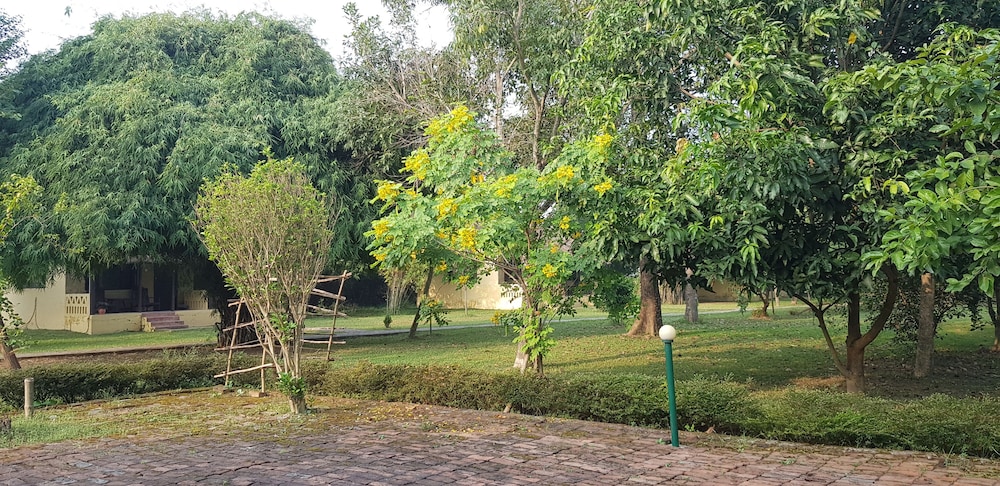 Lumbini Buddha Garden Resort 38/50