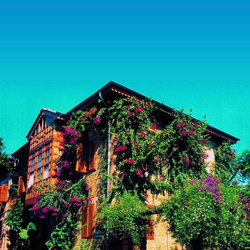 Begonville酒店(Begonville Hotel) 图片1