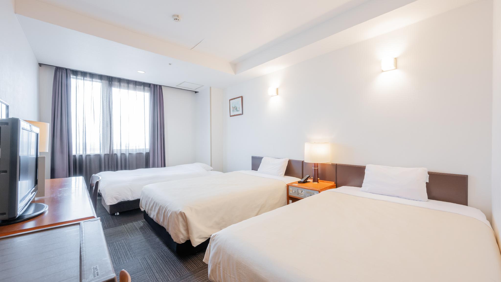 Superior, Semi Double Bed, Twin Beds, Smoking