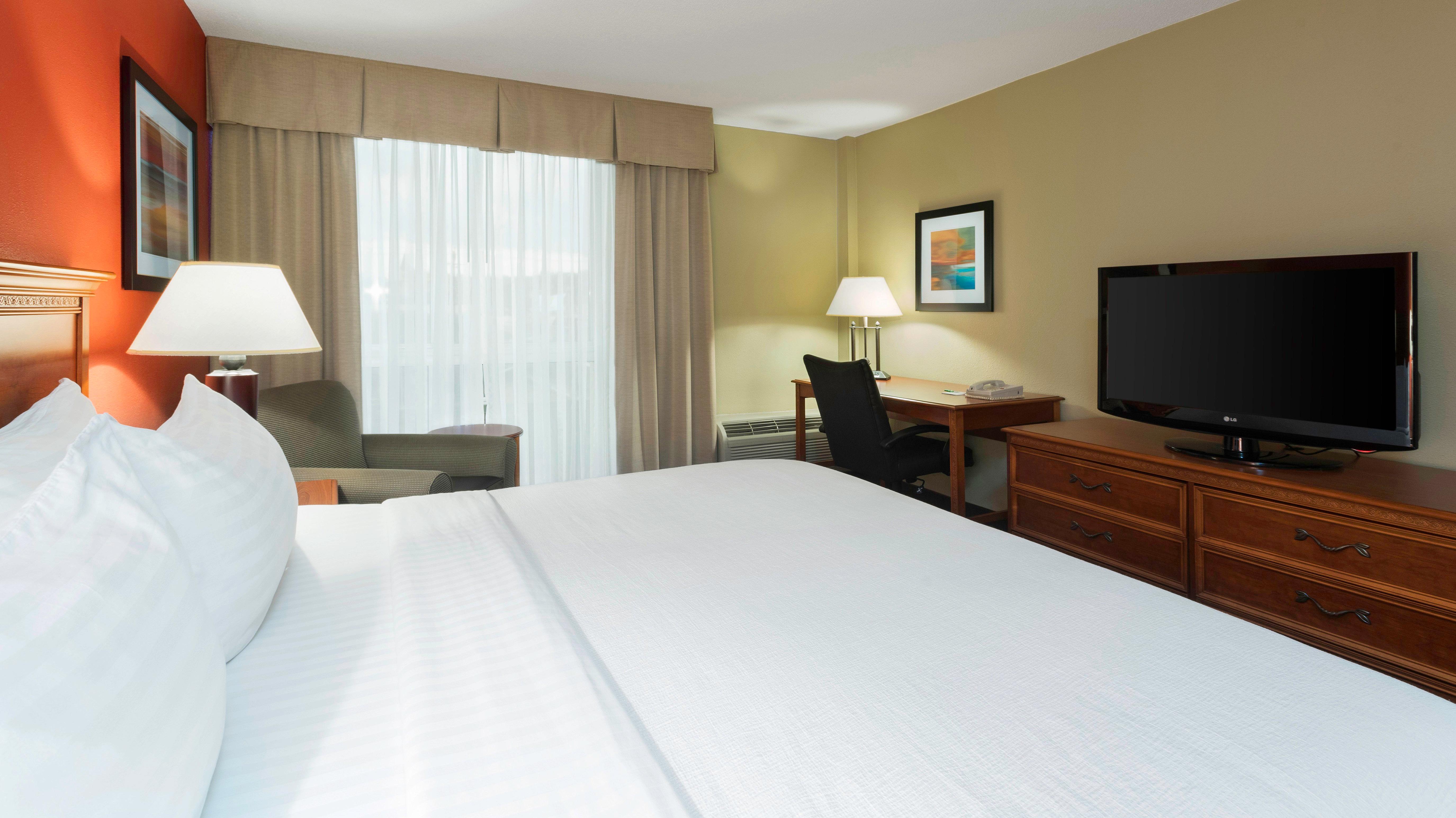 Suite, King Bed