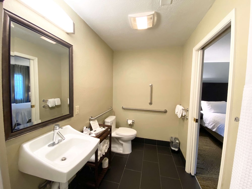 Sonesta Es Suites Dulles Airport 18/63