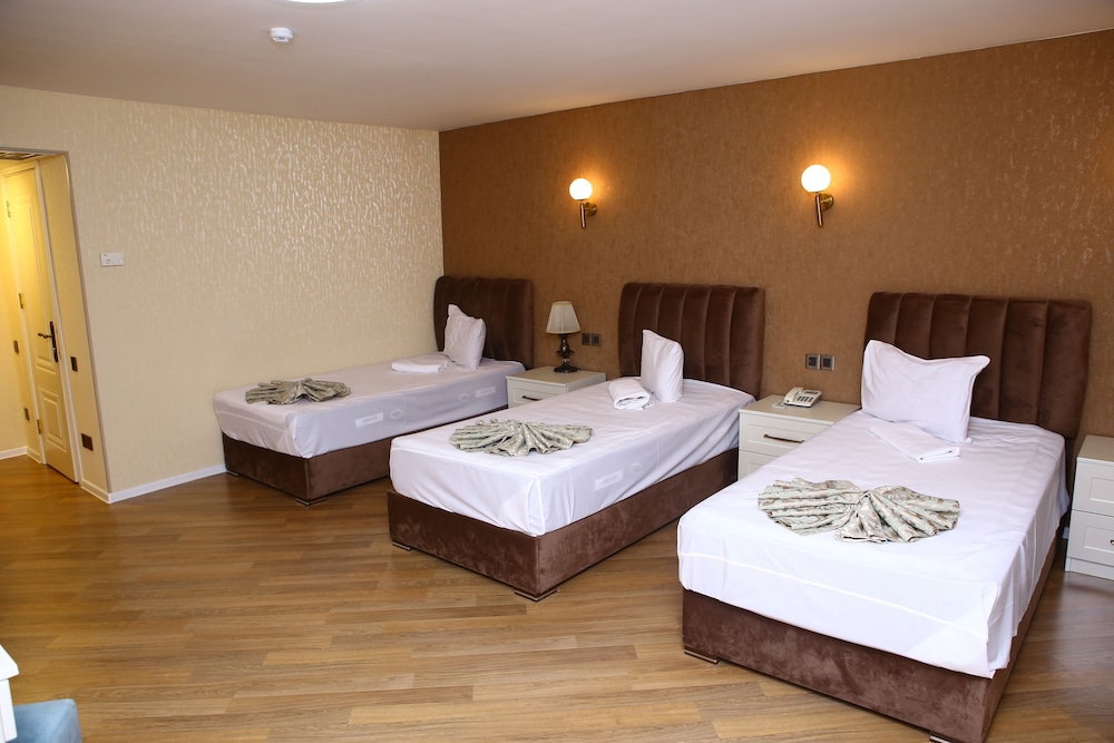 Deluxe Hotel Ganja 18/55