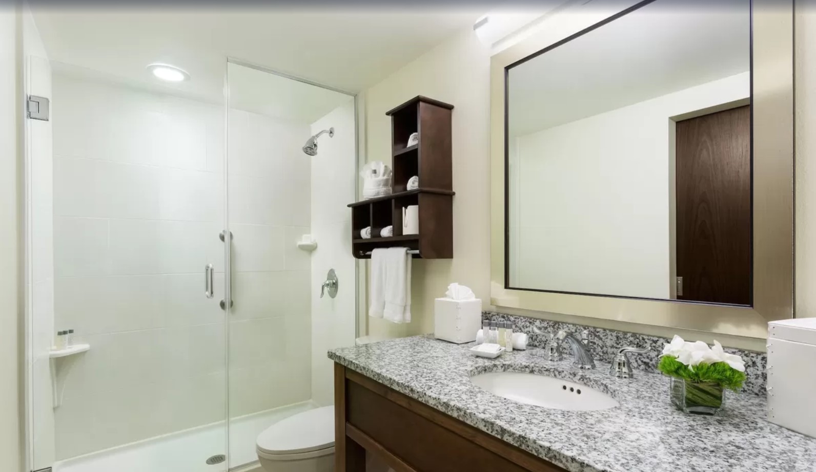 Renovated, Standard, King Bed, Accessible