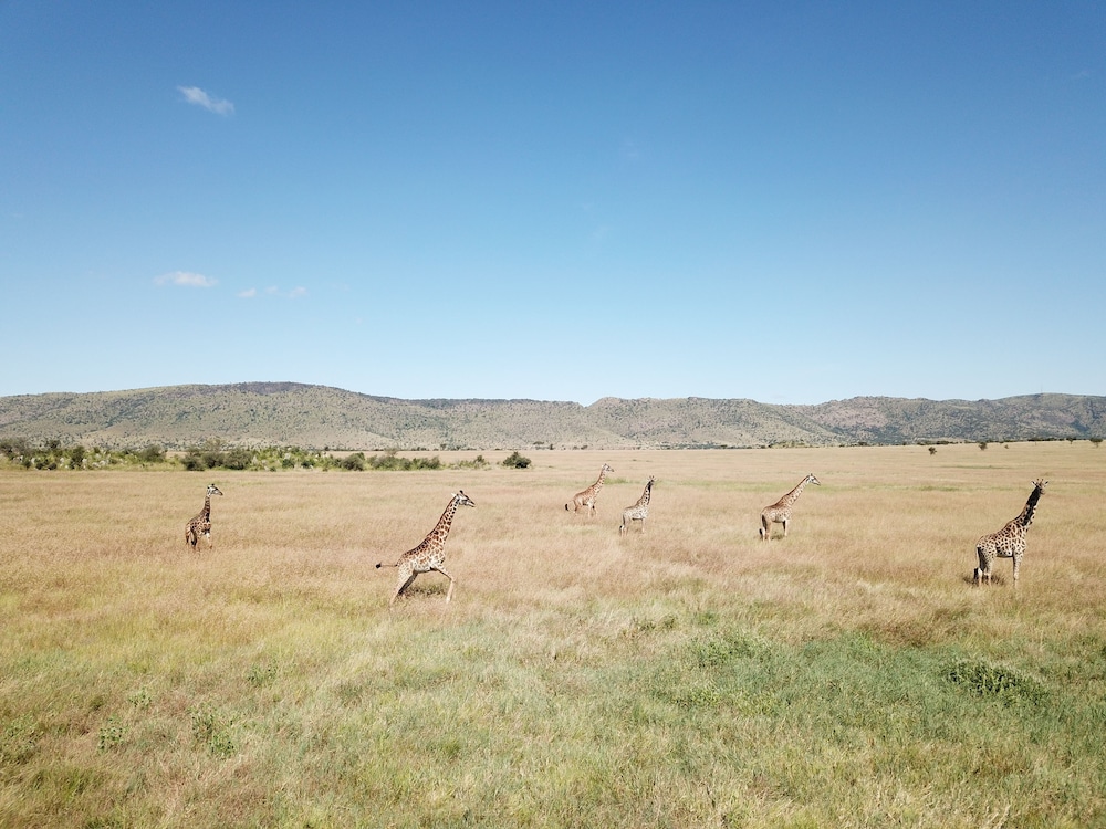 Kananga Special Tented Camp 44/50