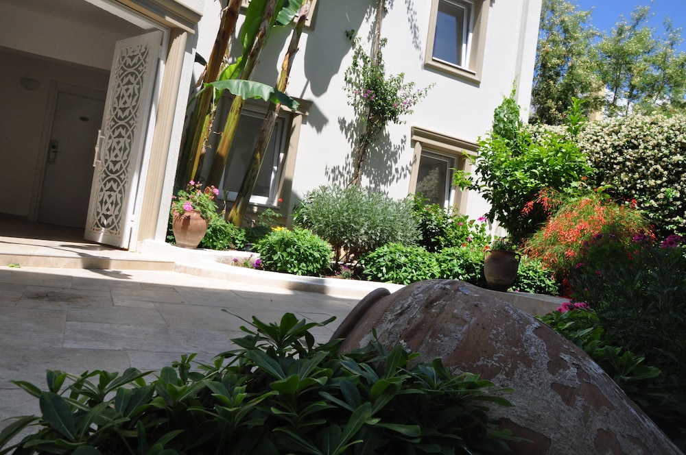 Olivias Group Hotel 31/42