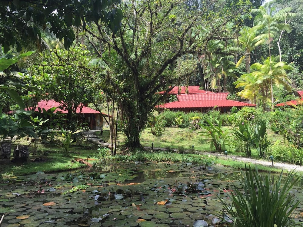 Esquinas Rainforest Lodge 23/46